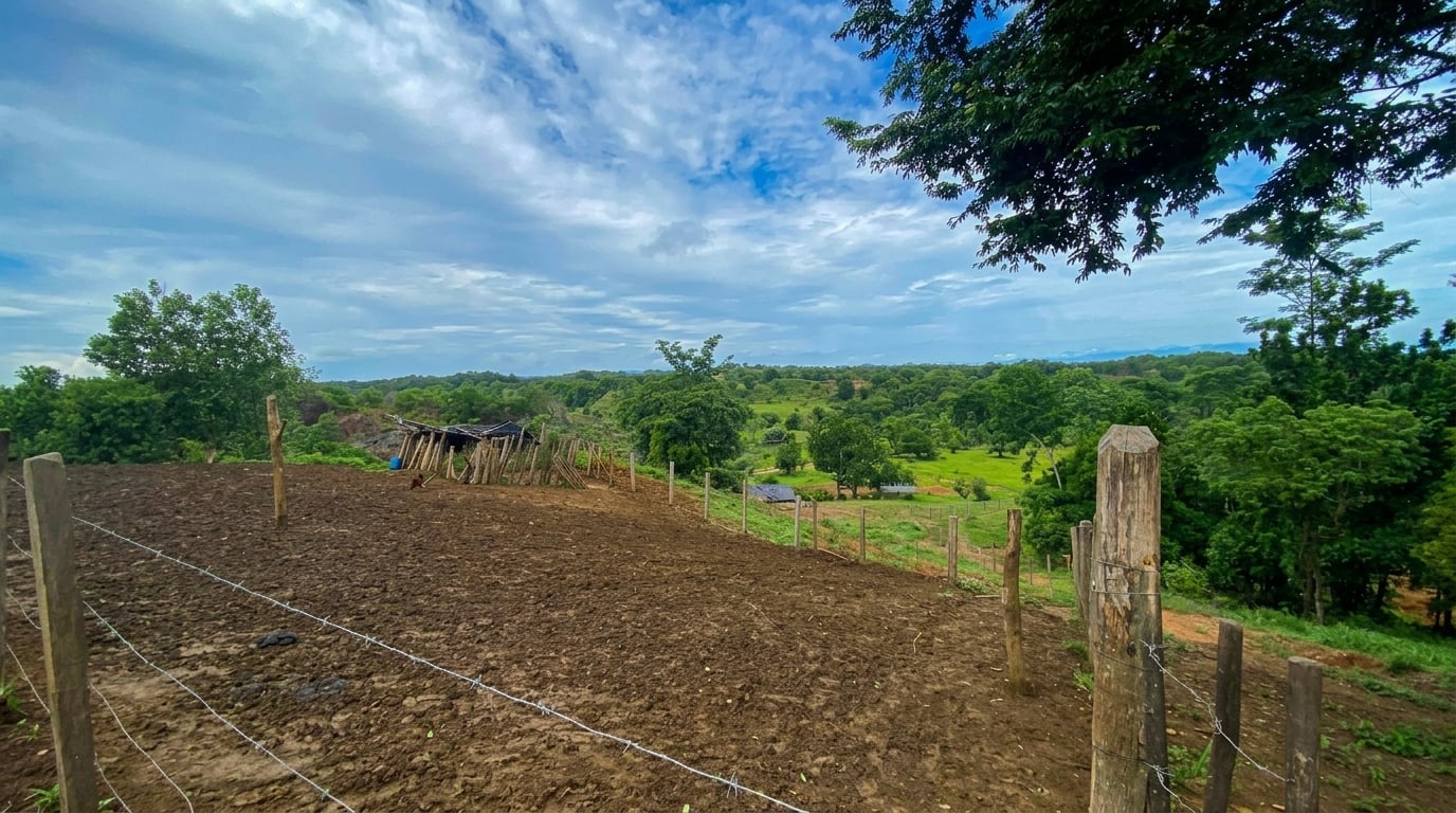 LOTE en Gestion - CÁCERES, ANTIOQUIA - 3