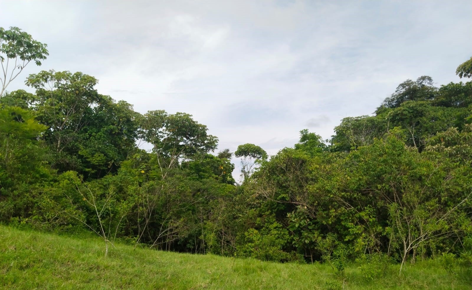 FINCA en Gestion - TARAZÁ, ANTIOQUIA - 1