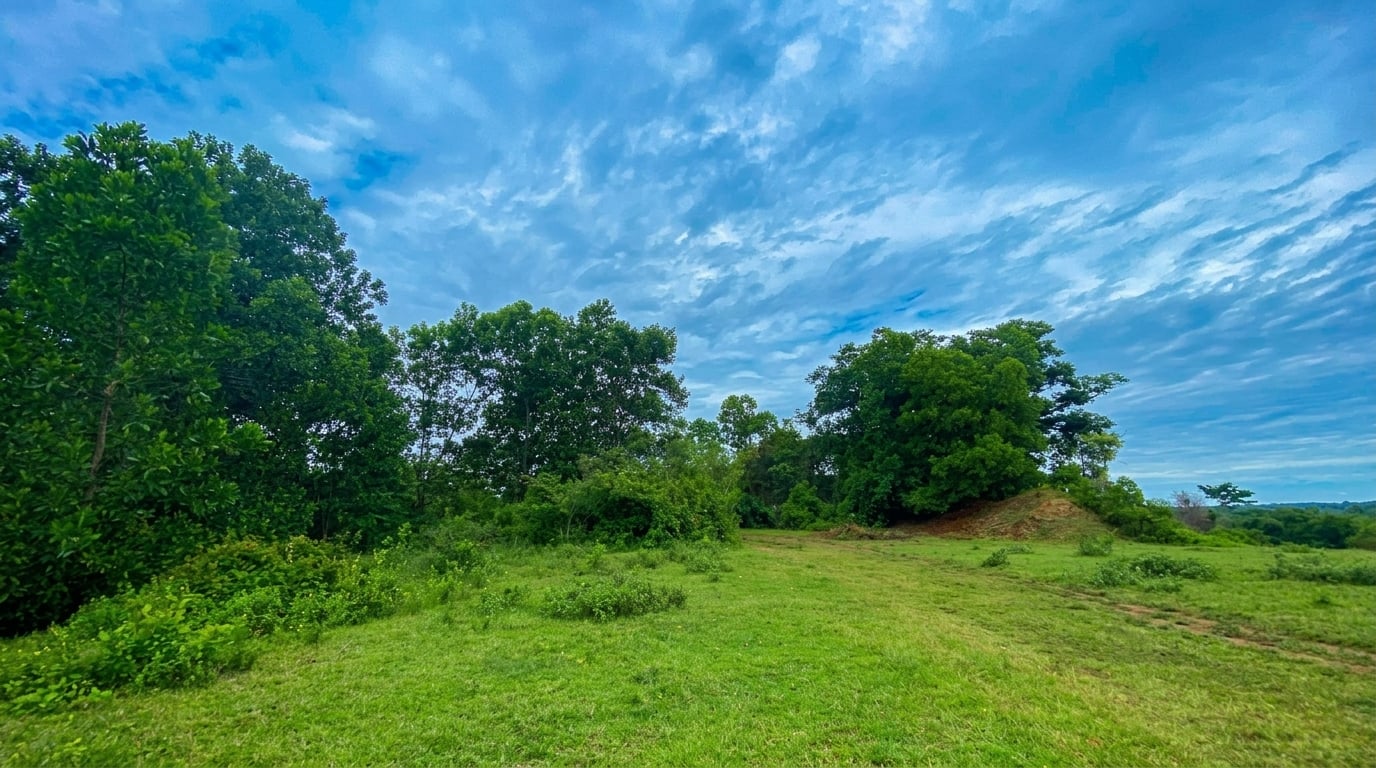LOTE en Gestion - CÁCERES, ANTIOQUIA - 1