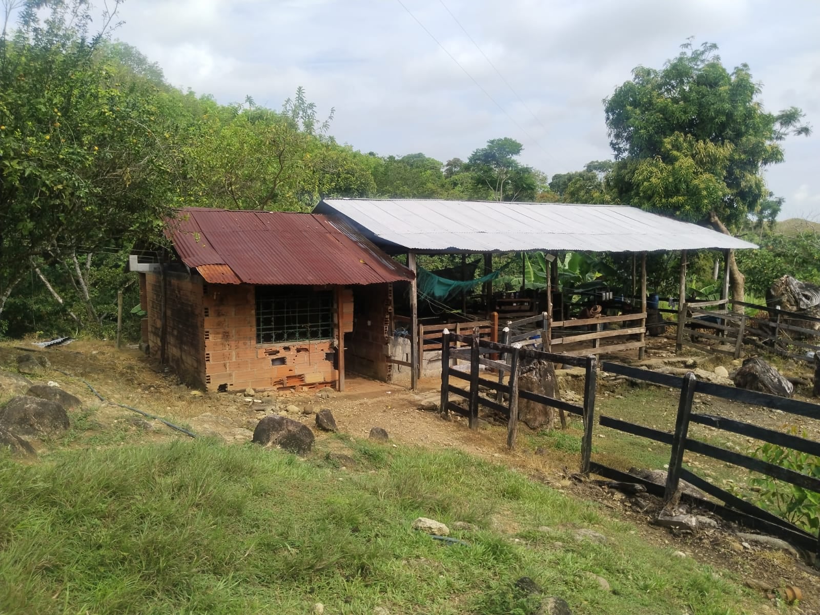 FINCA en Gestion - TARAZÁ, ANTIOQUIA - 6