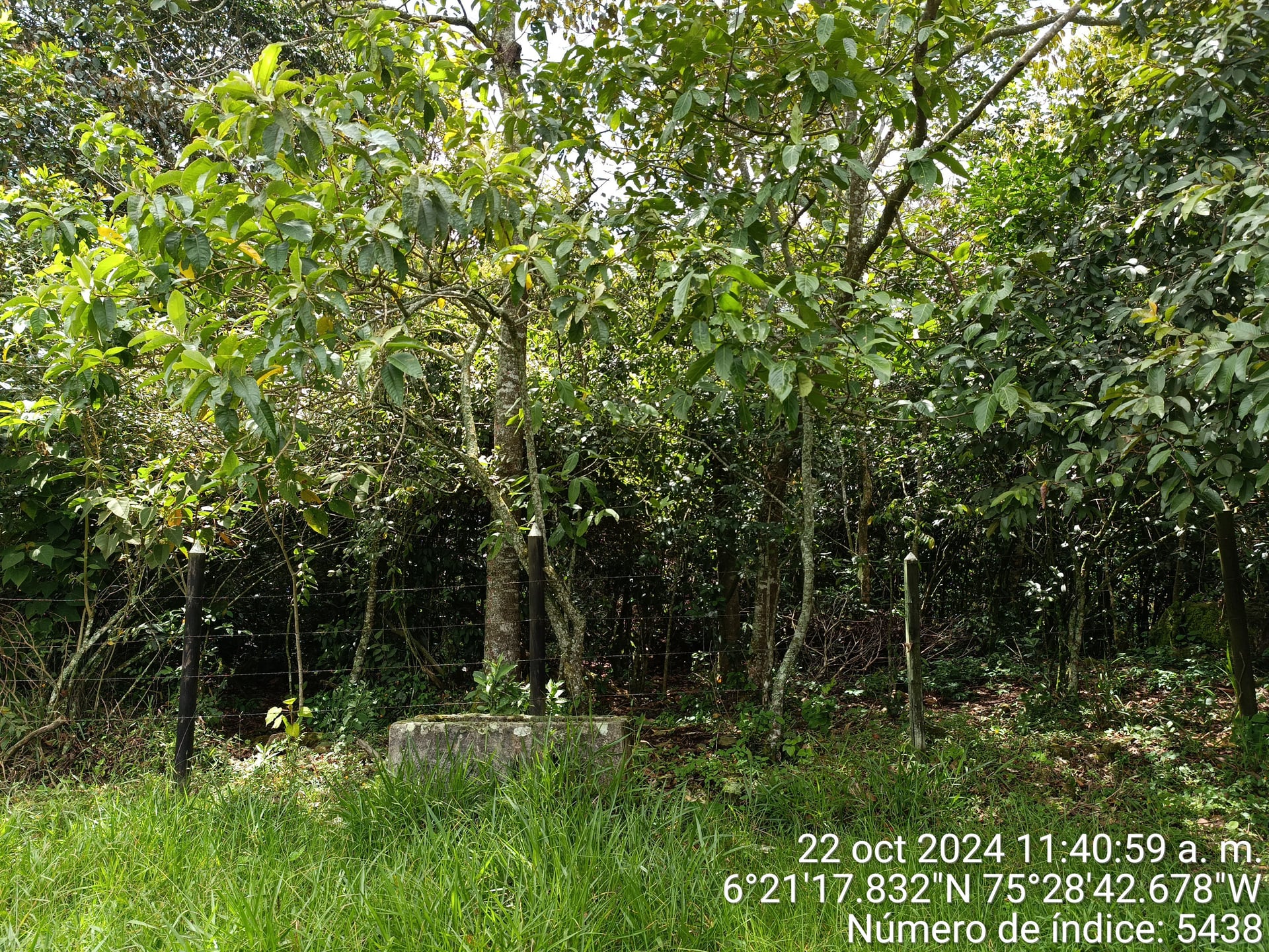 LOTE en Gestion - COPACABANA, ANTIOQUIA - 1