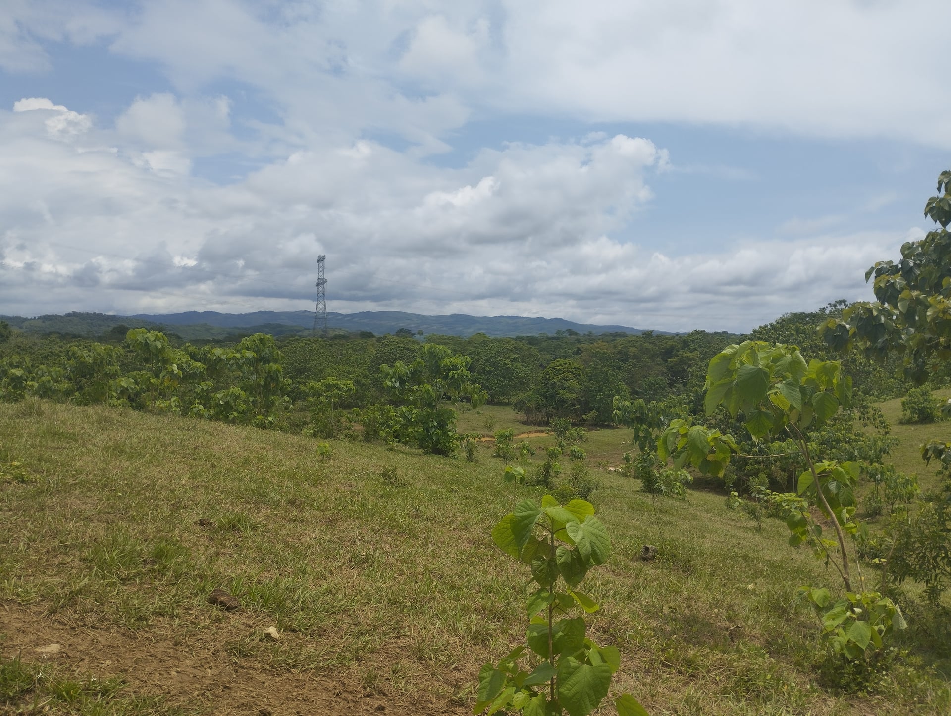 FINCA en Gestion - CÁCERES, ANTIOQUIA - 3