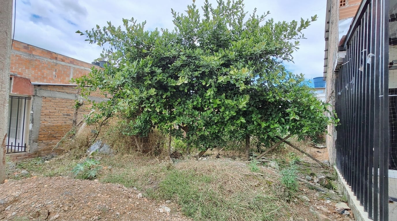 Lote en venta - Pitalito, Huila - 4