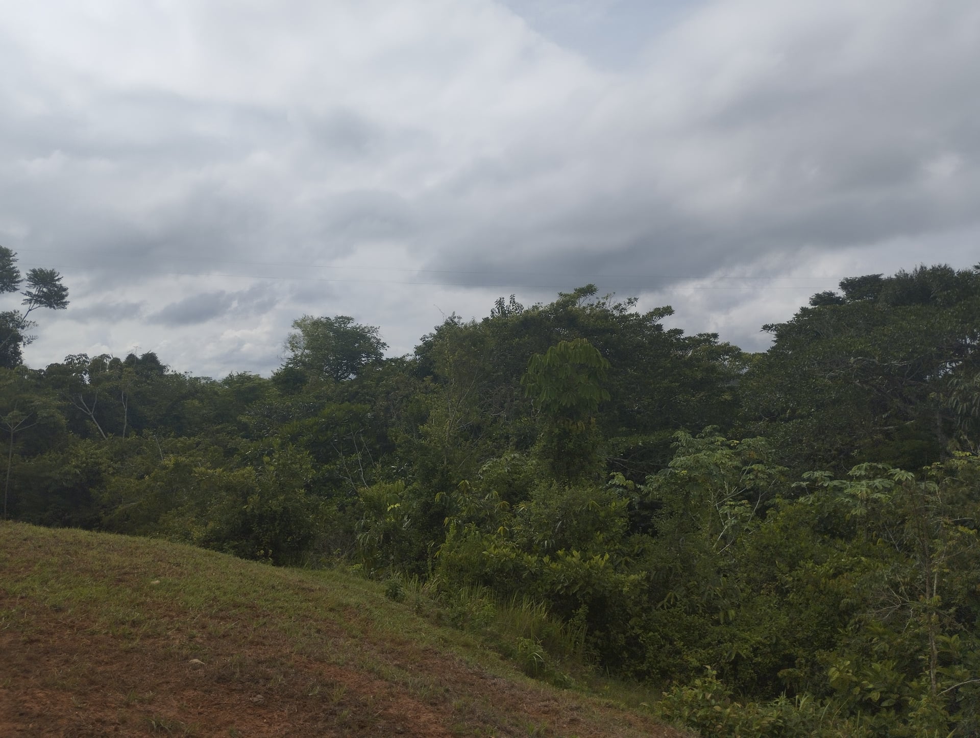 FINCA en Gestion - CÁCERES, ANTIOQUIA - 1