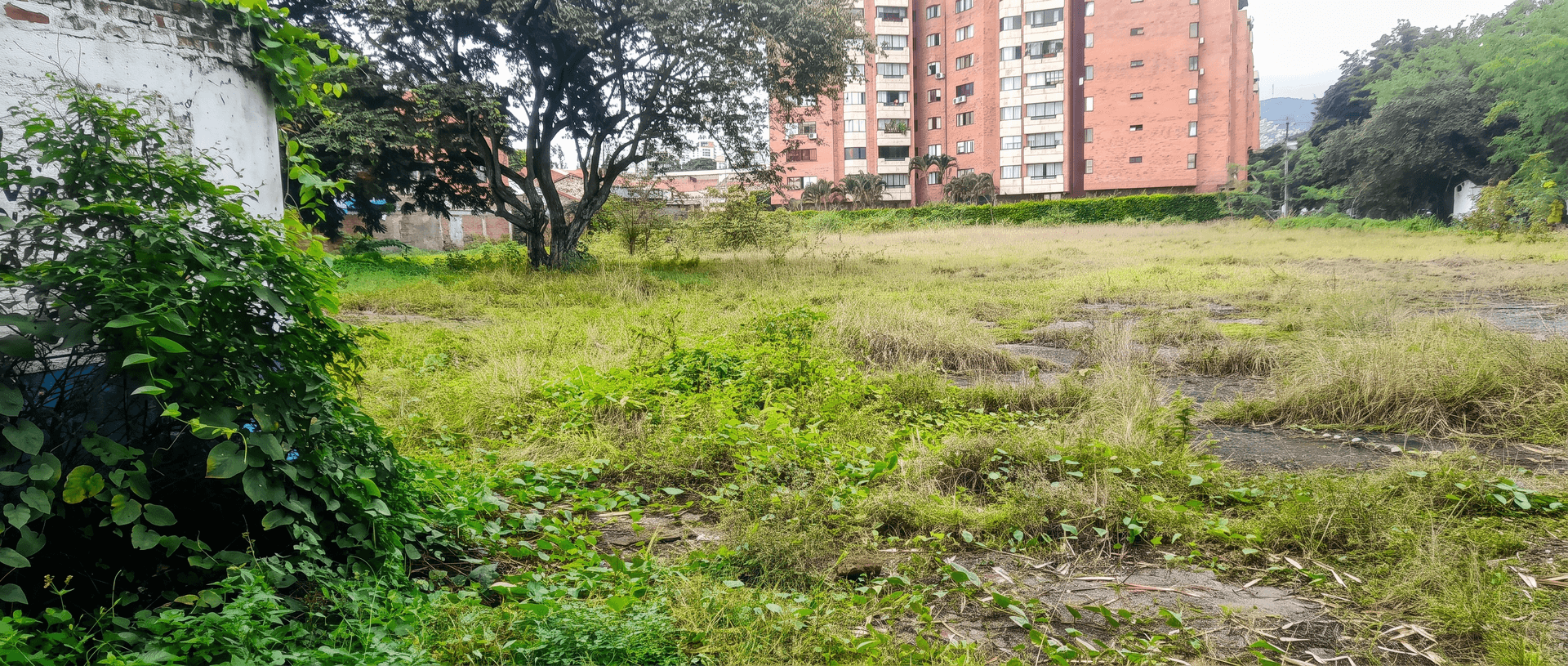 Lote en venta - Cali