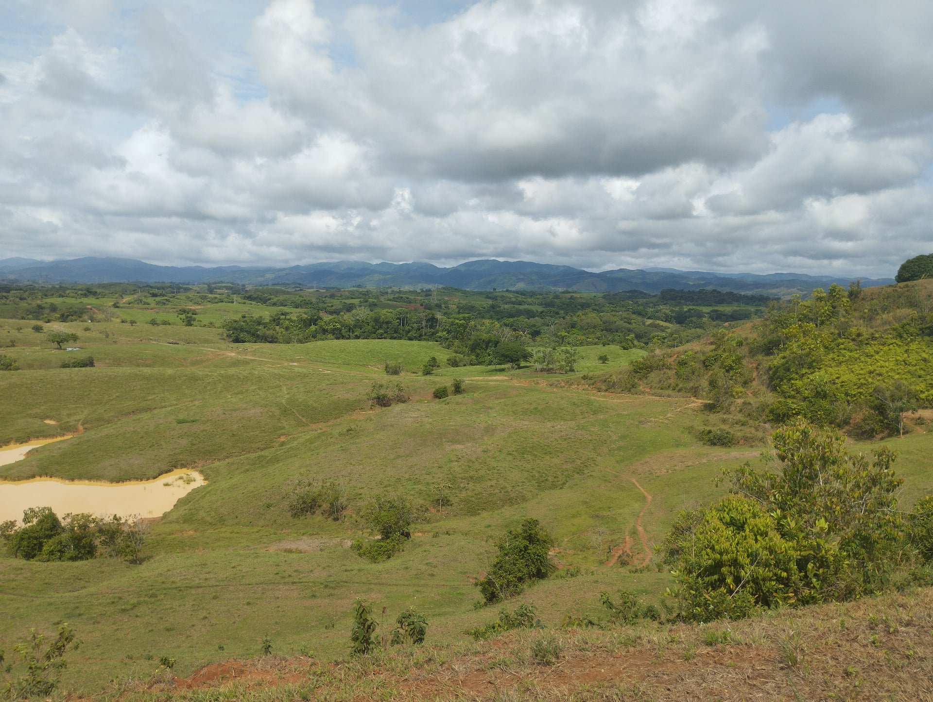 FINCA en Gestion - TARAZÁ, ANTIOQUIA - 8